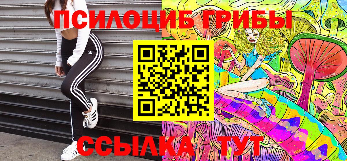 Псилоцибиновые грибы GOLDEN TEACHER Аксай