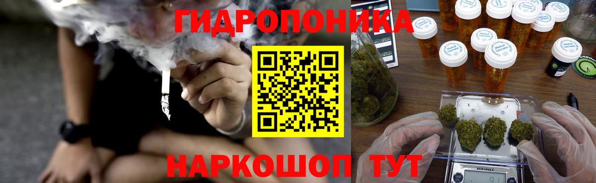 Марихуана сатива Аксай